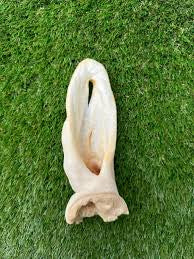 Anco Naturals Goat Ear