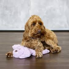 Aroma Calm Fleece Laying Down Dog
