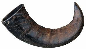 Anco Buffalo Horn