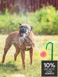PetBrands Sunflower Sprinkler