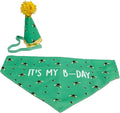 Ancol B-day Hat and Bandana