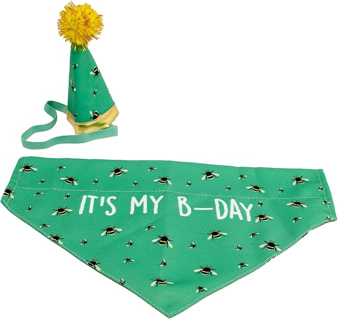 Ancol B-day Hat and Bandana