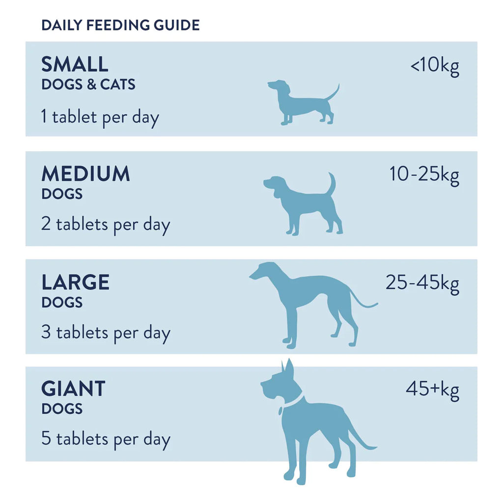 Dorwest Digestive Tablets for Dogs and Cats (200)