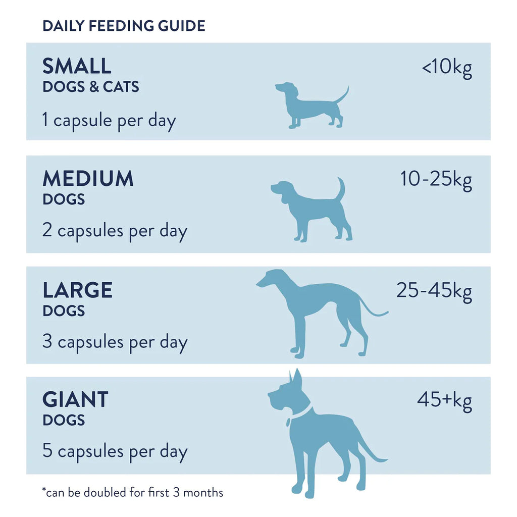 Dorwest Evening Primrose Oil Capsules for Dogs and Cats (100)