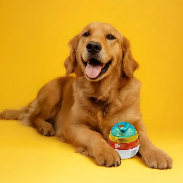 IQuties Wobbler Enrichment Toy