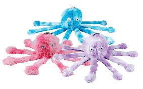 Gor Pets Baby Striped Octopus
