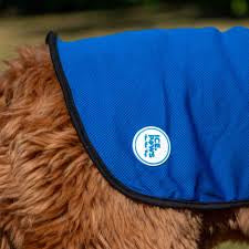 Ancol Dog Cooling Coat