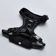 Cocopup Explore Harness - NAKD Liquorice