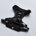 Cocopup Explore Harness - NAKD Liquorice