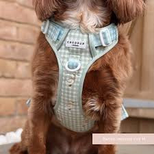 Cocopup Explore Harness Silly Goose