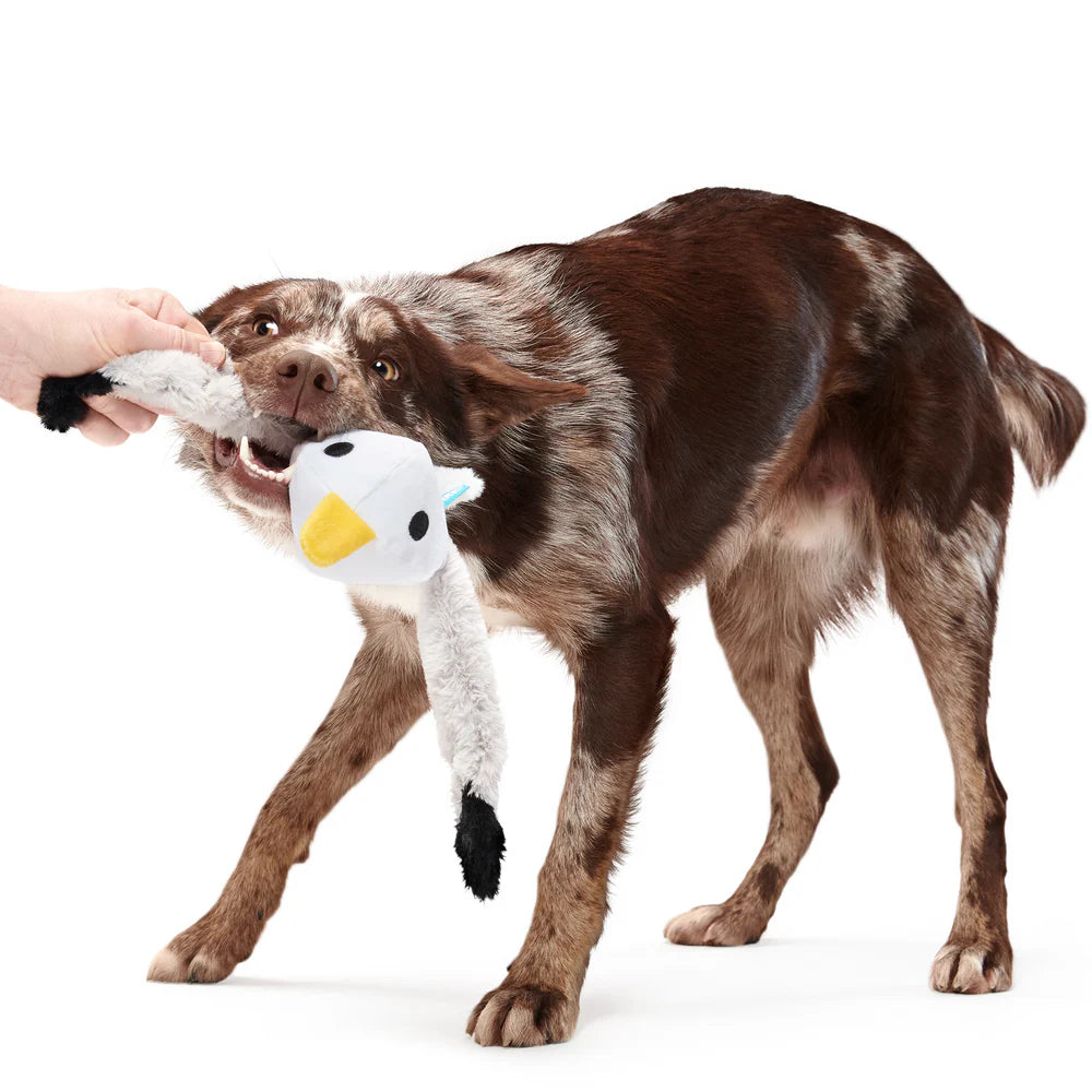 BARK! Sully the Gully Dog Toy