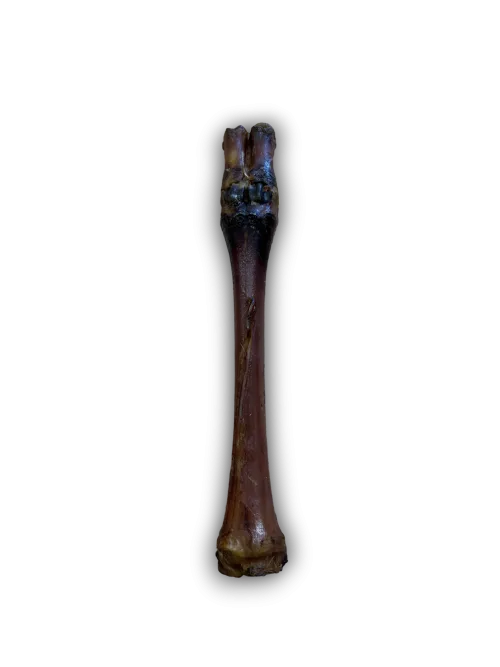Anco Red Deer Leg