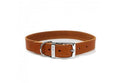 Ancol Classic Leather Collar Tan 39-48cm Size 5