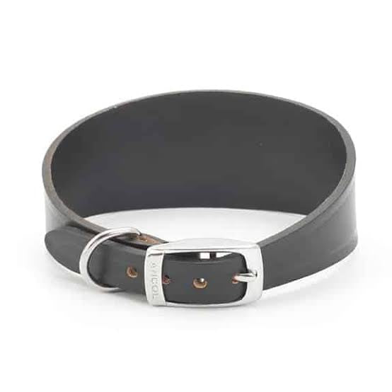 Ancol Greyhound Whippet Leather Collar Black