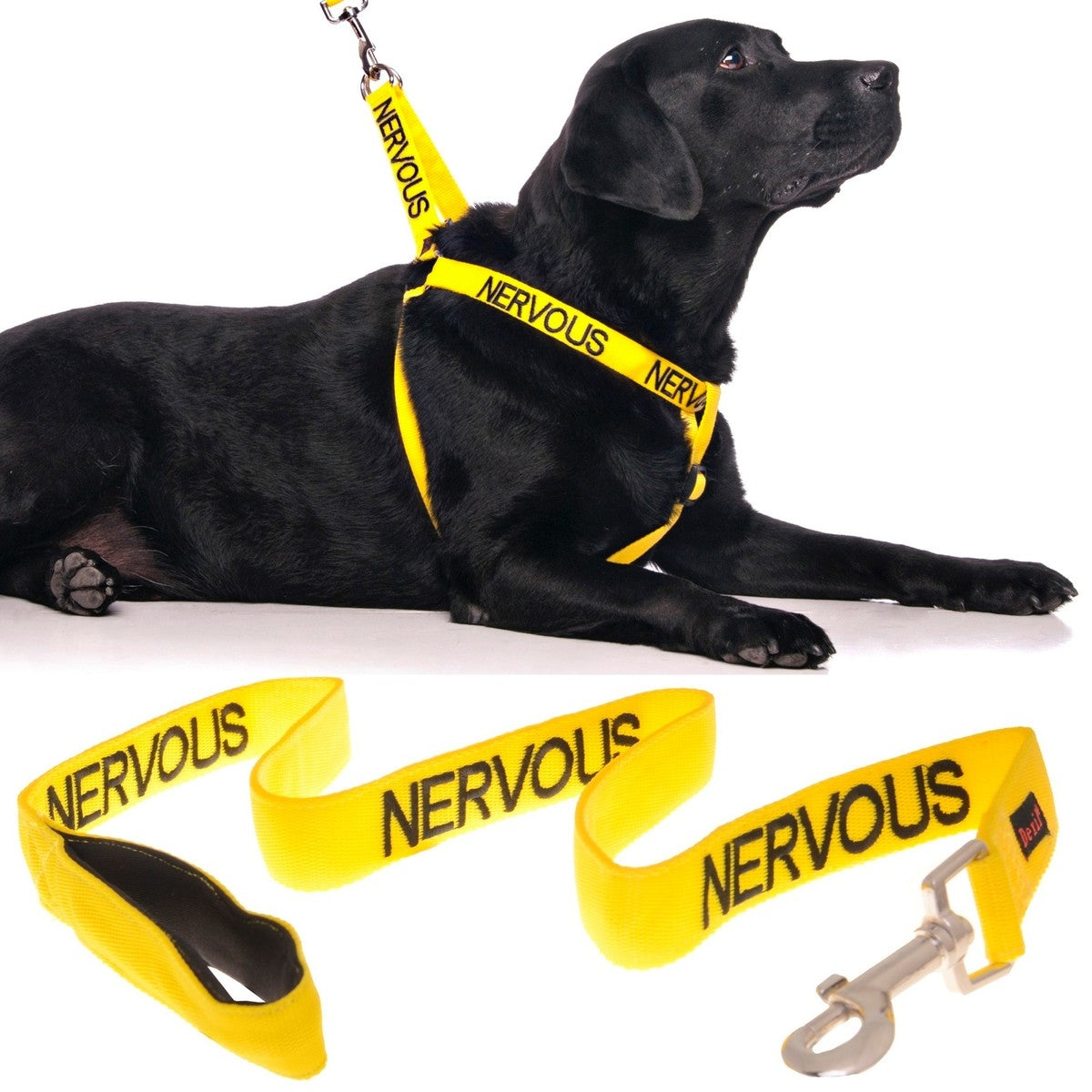 Ancol Yellow Nervous Lead 40mm