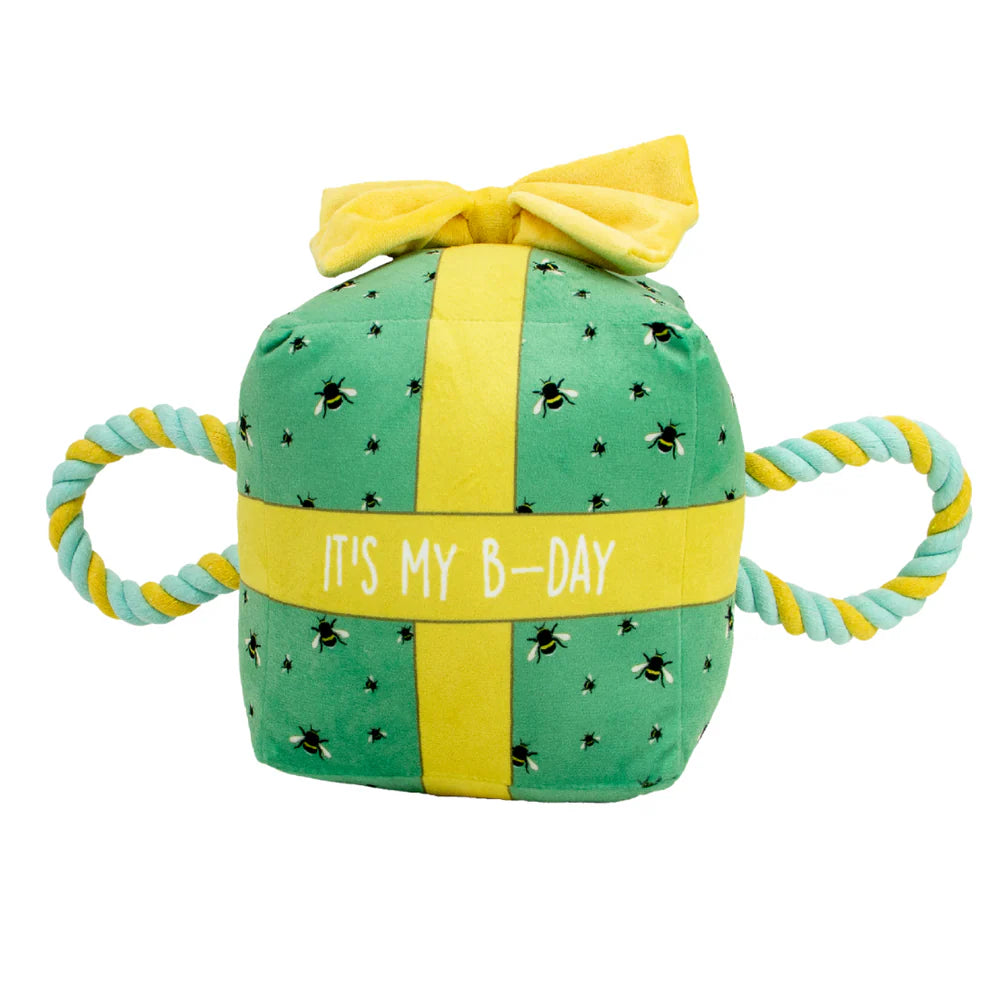 Ancol Pawty Time Large Bee-day Present