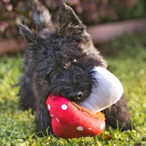 Blooming Buddies Mutt Mushroom Toy