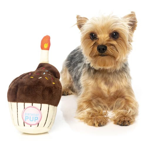Birthday Cupcake Dog Toy