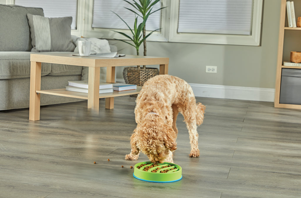Brightkins circle 2 in 1 slow feeder bowl and lick mat