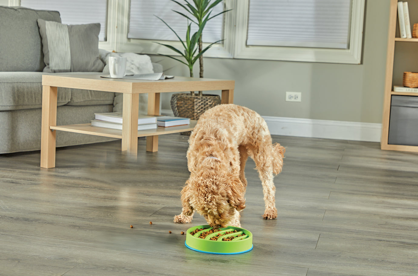 Brightkins circle 2 in 1 slow feeder bowl and lick mat