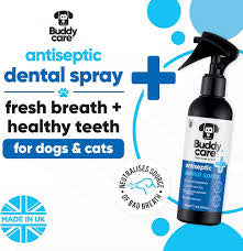 Buddycare Pet Antiseptic Dental Spray 200ml