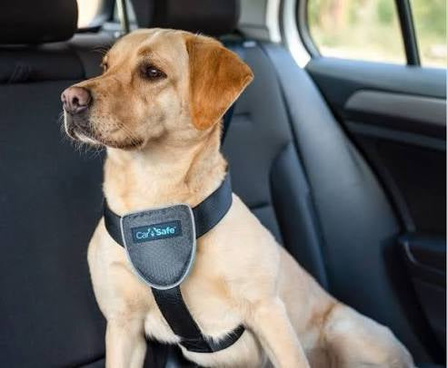 CarSafe Black Travel Harness