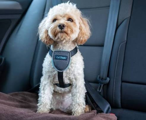 CarSafe Black Travel Harness