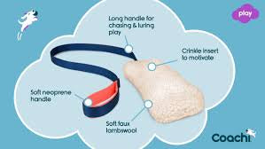 Coachi Chase & Crinkle Interactive Dog Toy