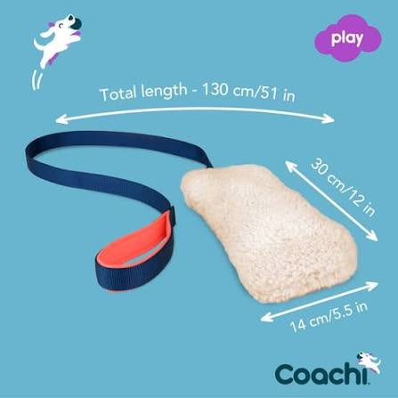 Coachi Chase & Crinkle Interactive Dog Toy