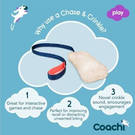 Coachi Chase & Crinkle Interactive Dog Toy