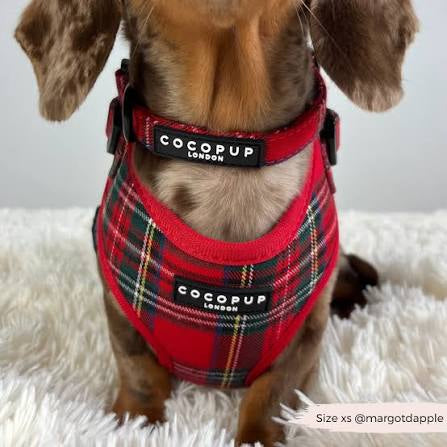 Cocopup Dog Collar - Tartan