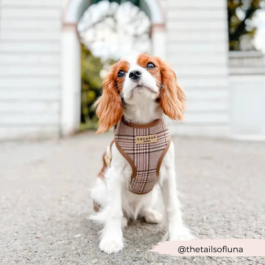 Cocopup Adjustable Neck Harness - Pup Plaid
