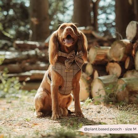 Cocopup Dog Collar - Pup Plaid