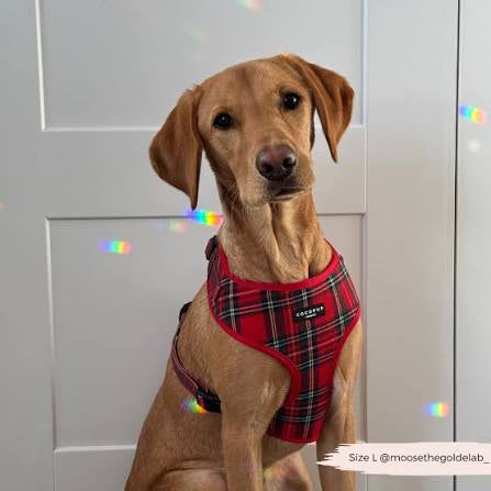 Cocopup Adjustable Neck Harness - Tartan