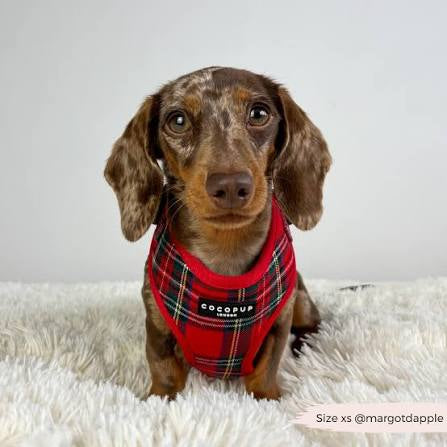 Cocopup Adjustable Neck Harness - Tartan