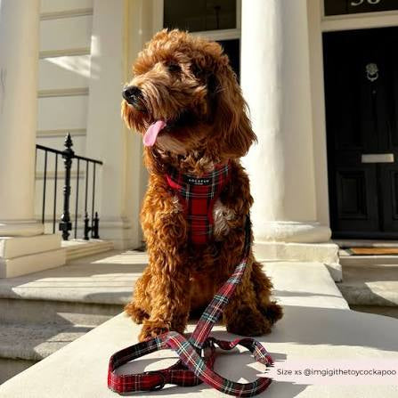 Cocopup Dog Lead - Tartan