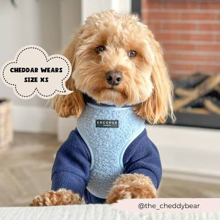 Cocopup Teddy Adjustable Neck Harness - Daydream