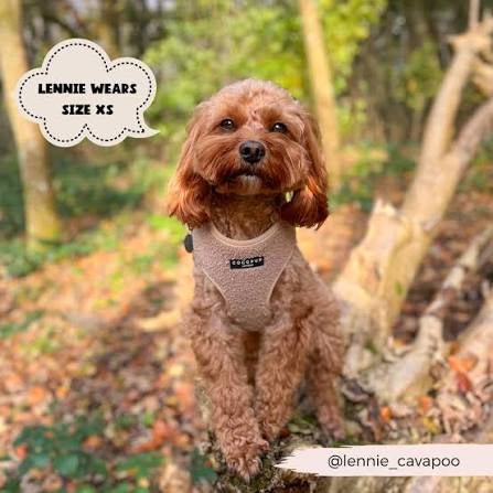 Cocopup Teddy Adjustable Neck Harness - Rupert