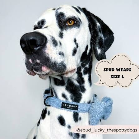 Cocopup Teddy Collar - Daydream