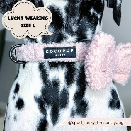 Cocopup Teddy Collar - Love-A-Lot