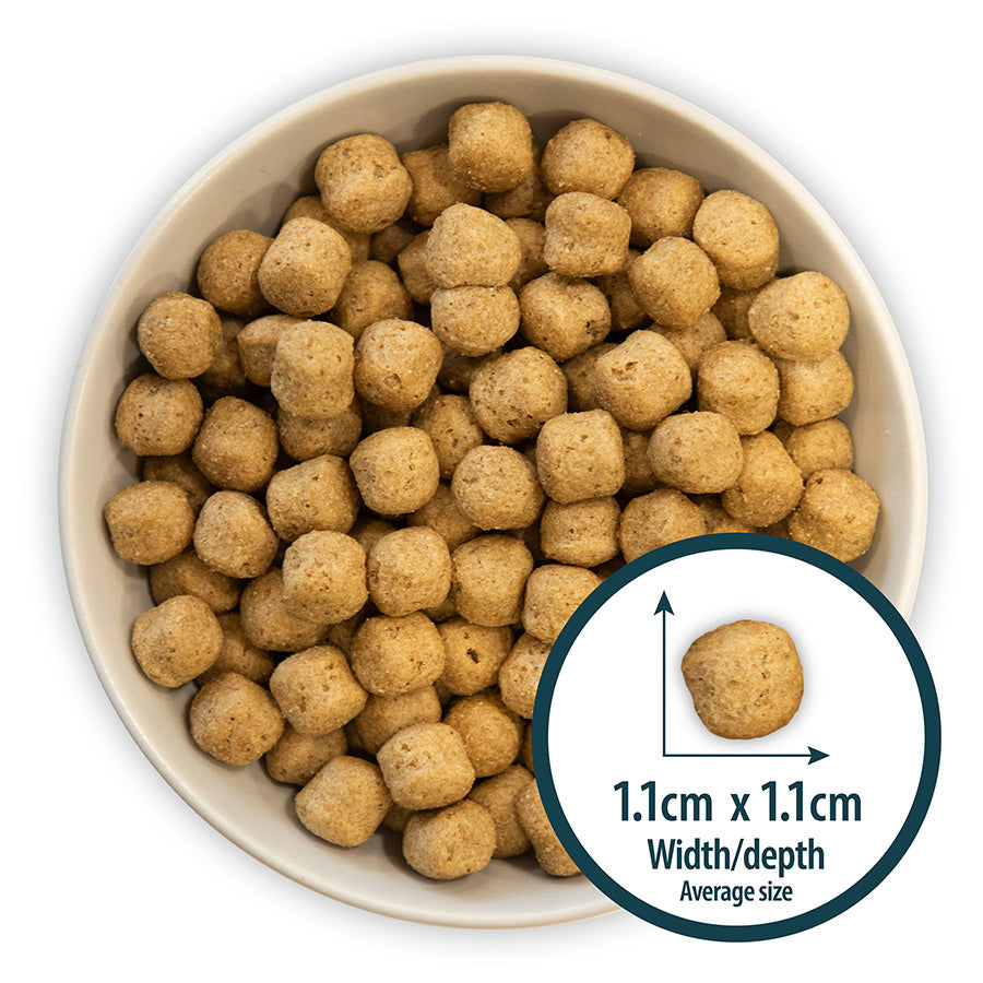 Burns Adult Dog Original Chicken & Brown Rice Small Bag 2kg