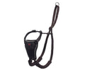 COA Halti No Pull Harness Blue