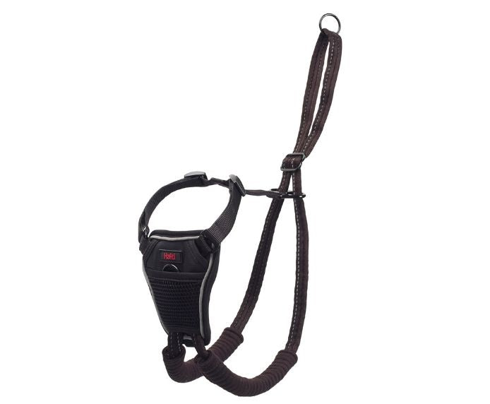 COA Halti No Pull Harness Blue