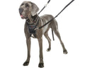 COA Halti No Pull Harness Orange