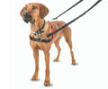 Halti Black Front Control Harness