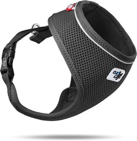 Curli Basic Dog Harness Air-Mesh Black