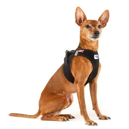 Curli Vest Dog Harness Clasp Cord Black Small
