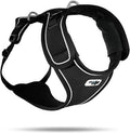Curli Belka Harness Air-Mesh Black Extra Large