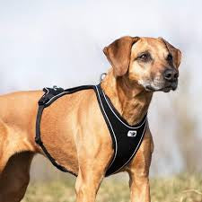 Curli Belka Harness Air-Mesh Black Extra Large