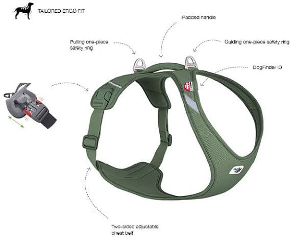 Curli Belka Harness Air-Mesh Moss Extra Large